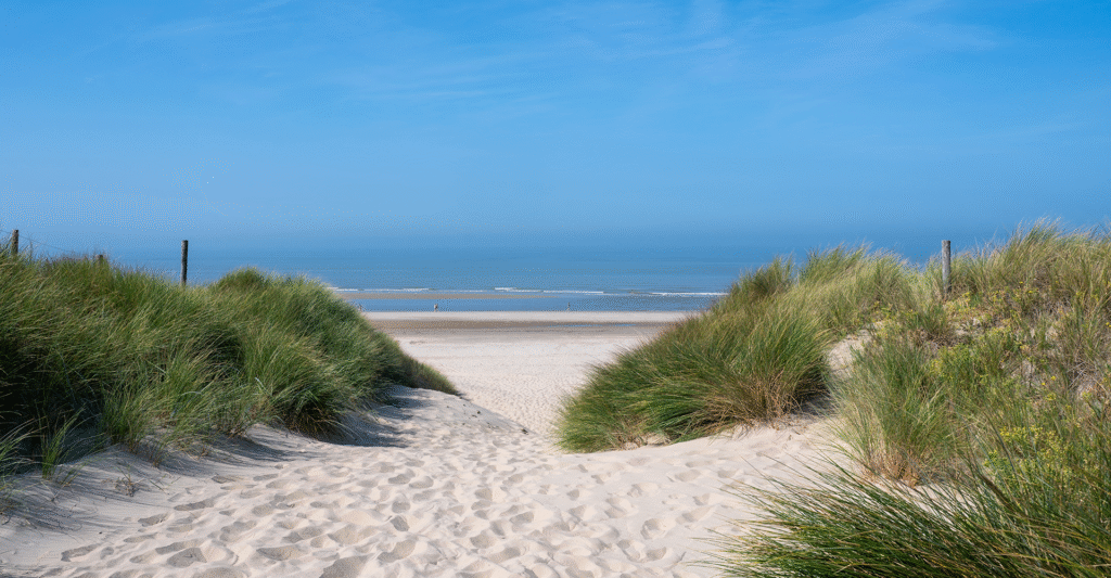 Huisartsenpraktijk Koegras